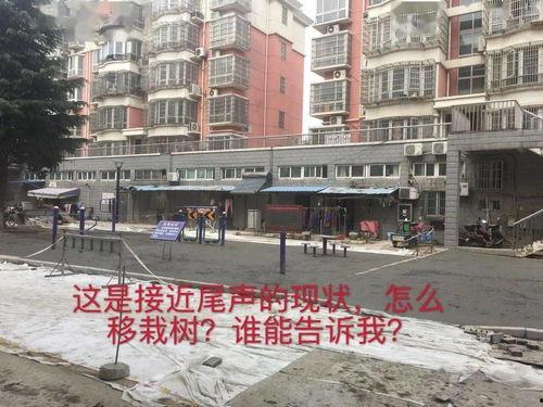 广州小区问题爆料最新,物业管理乱象频发,居民生活陷入困境 第2张 广州小区问题爆料最新,物业管理乱象频发,居民生活陷入困境 第2张