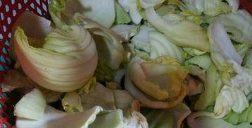 潮汕咸菜爆料视频播放大全,海量视频带你领略潮汕美食魅力  第1张